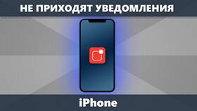 Почему не приходят звуковые уведомления в Борк