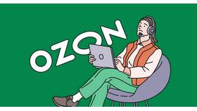 Почему резко упали продажи на Ozon в Борк