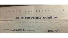 Почему выдают паспорт в Борк