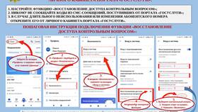 Пошаговая инструкция по регистрации на Госуслугах для физических лиц в Борк