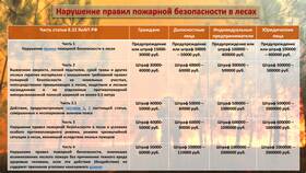 Штраф 30 000 рублей: за какие нарушения предусмотрен