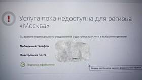 Сколько делается охотничий билет через Госуслуги в Борк