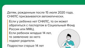 СНИЛС: для чего нужен физическим лицам в Борк