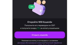 Способы оплаты на Wildberries в Борк