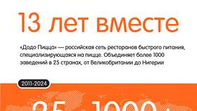 Способы оплаты заказов в Додо Пицца в Борк
