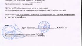 Справка о том что здоров в Борк