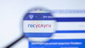 Сроки подтверждения учетной записи Госуслуг через МФЦ в Борк