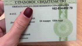 Страховой номер лицевого счета (СНИЛС): что это? в Борк