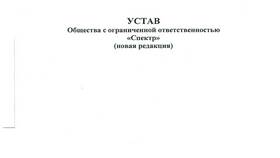 Устав как учредительный документ в Борк
