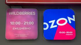 Зачем Ozon запрашивает паспортные данные при заказе в Борк