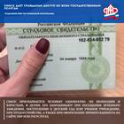 Страховой номер лицевого счета (СНИЛС): что это?