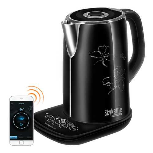 Умный чайник Redmond SkyKettle M170S-E Black в Борк