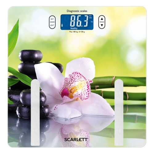 Весы напольные Scarlett SC-BS33ED10 SPA Orchid в Борк